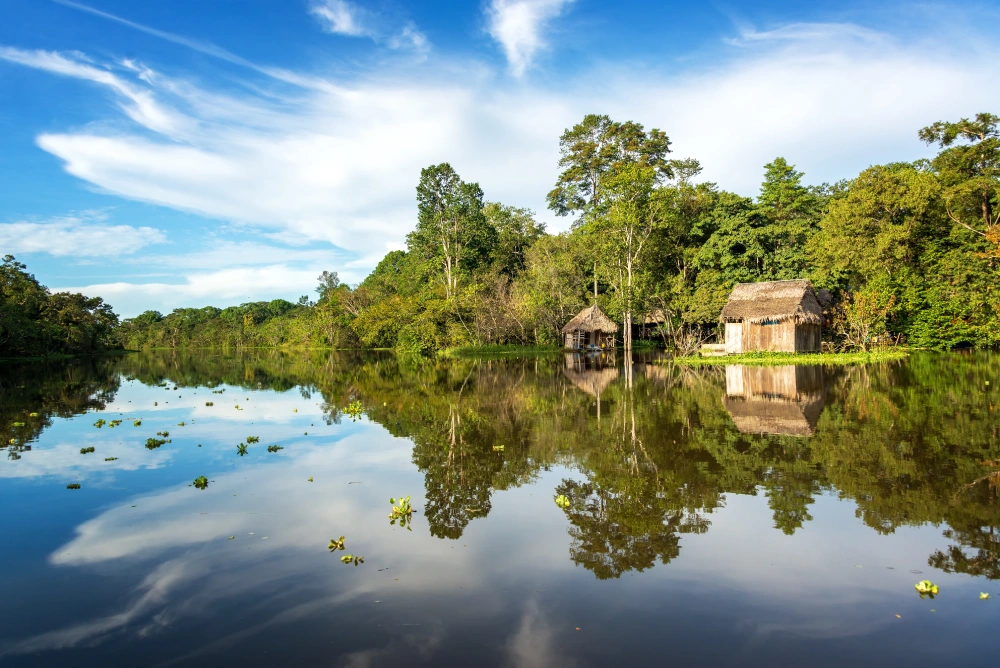 Puszcza amazońska - widok z rzeki Amazonki